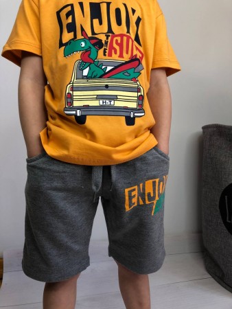 Набір Шорти футболка на хлопчика 110,116,122 ( Крокодил)